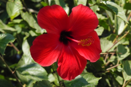 Castle View Apartments Haraki - Rhodos - Greece ,,,.